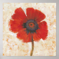 Red Poppy Portrait