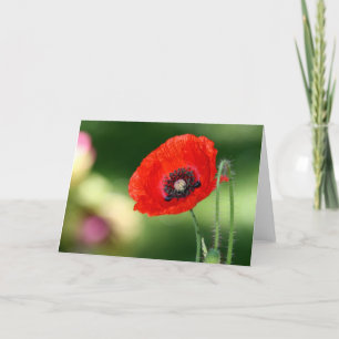 Red Poppy Seed Greeting Card