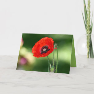 Red Poppy Seed Greeting Card