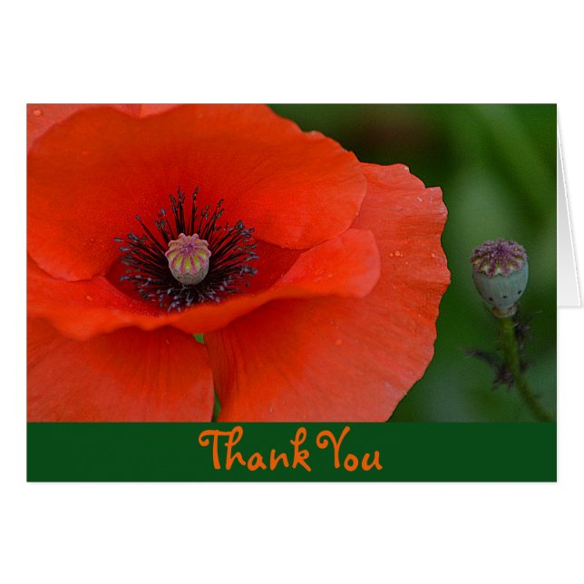 Red Poppy Thank You Card (Front Horizontal)