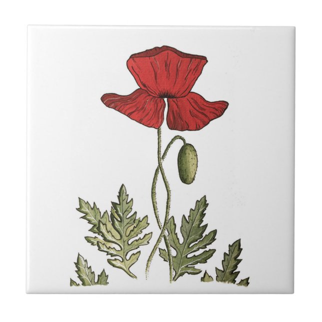 Red Poppy Tile (Front)