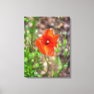 Red poppy up close canvas print
