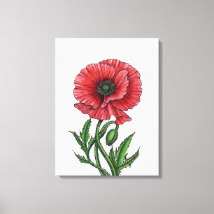 Red poppy, watercolor and ink canvas print
