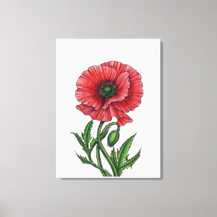 Red poppy, watercolor and ink canvas print