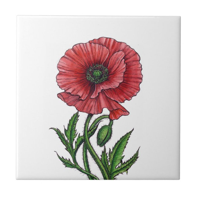 Red poppy, watercolor and ink tile (Front)