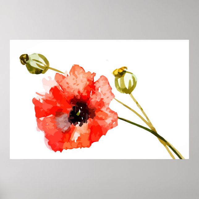 Red poppy watercolor poster (Front)