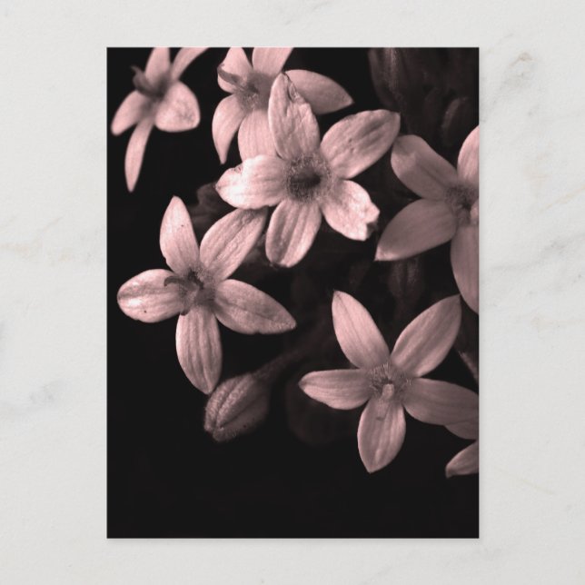 red postcard (Front)