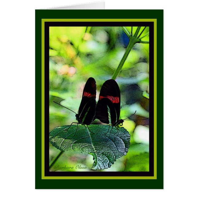 Red Postman: butterfly (Front)