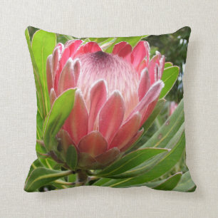 Red Protea Cushion