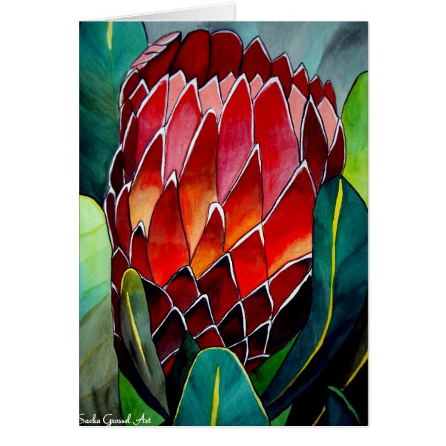 Red Protea flower original watercolour art (Front)