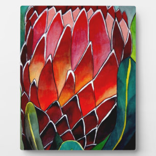 Red Protea flower original watercolour art Plaque