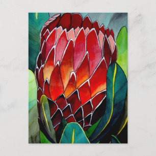 Red Protea flower original watercolour art Postcard