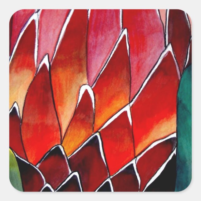 Red Protea flower original watercolour art Square Sticker (Front)