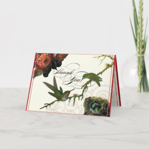 Red Protea Hummingbirds - Thank You Note Cards