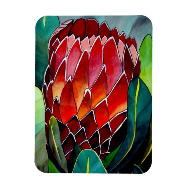 Red Protea watercolour art flower Magnet (Vertical)