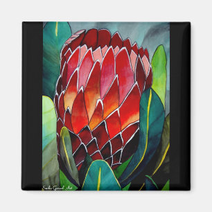 Red Protea watercolour flower original art Magnet