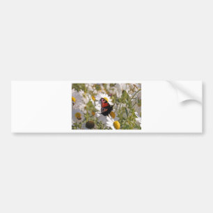 Red Purple Black Butterfly on Daisies Bumper Sticker