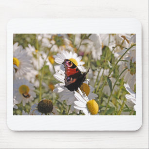 Red Purple Black Butterfly on Daisies Mouse Mat