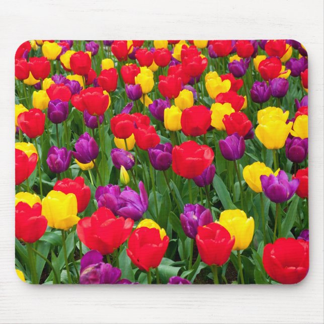 Red, purple, yellow tulip mousepad (Front)