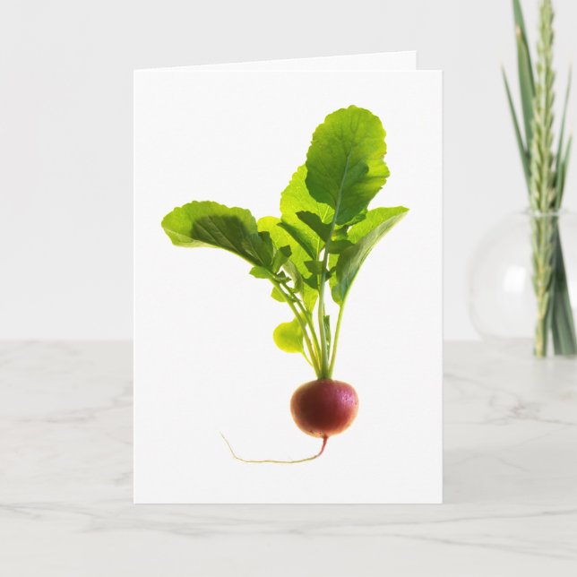 Red Radish Card (Front)