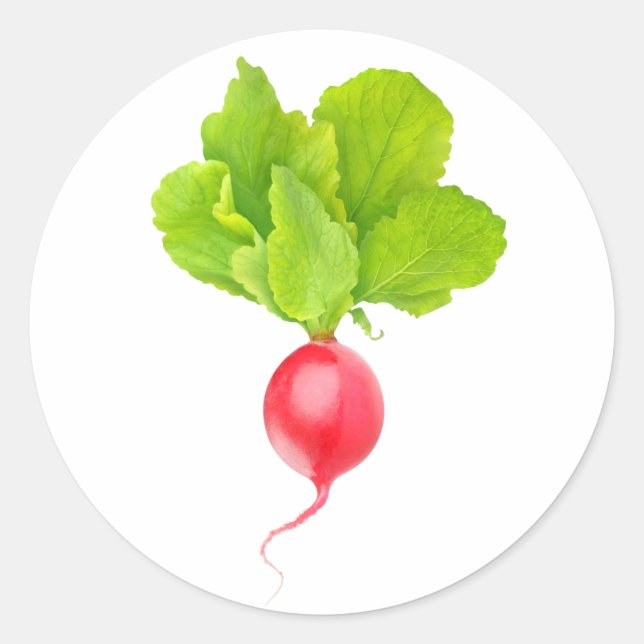 Red radish classic round sticker (Front)