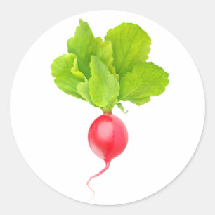 Red radish classic round sticker