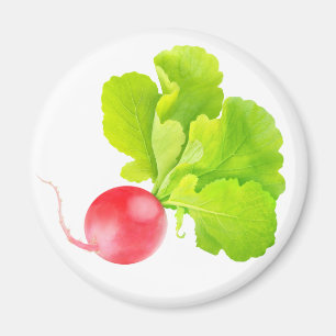 Red radish magnet
