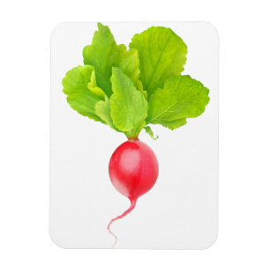 Red radish magnet