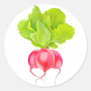 Red radishes classic round sticker