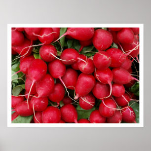 Red Radishes Poster