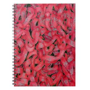 Red Ramen Notebook
