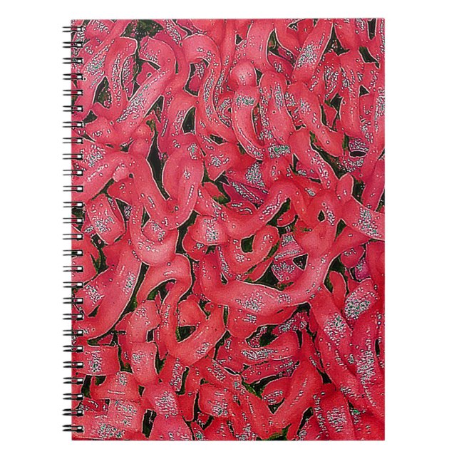 Red Ramen Notebook (Front)