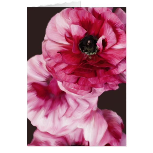 Red Ranunculus (Front)