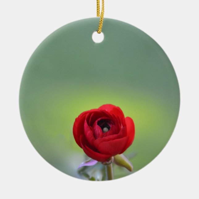 Red Ranunculus Blossom Ceramic Tree Decoration (Front)