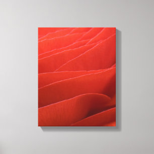 Red Ranunculus Flower Petals Canvas Print