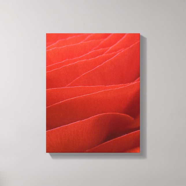 Red Ranunculus Flower Petals Canvas Print (Front)