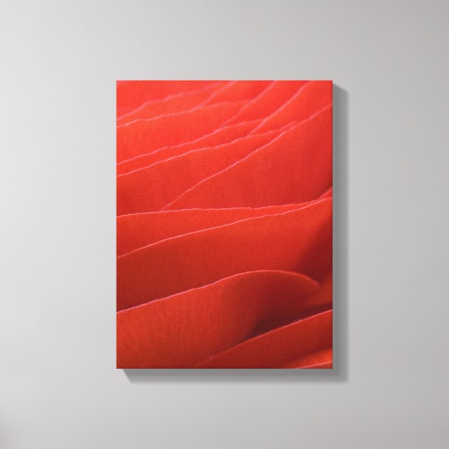 Red Ranunculus Flower Petals Canvas Print (Front)