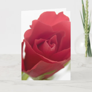 Red, red rose ... card