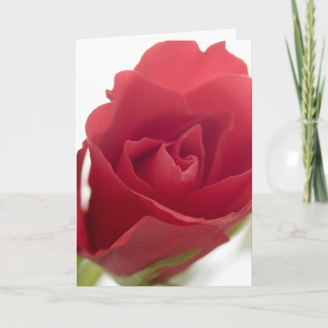 Red, red rose ... card (Front)
