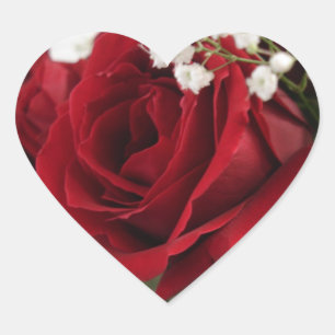 Red Red Rose - Heart Shaped Sticker