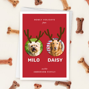 Red Reinpet 2 Photo Pet Christmas Holiday Folded Card