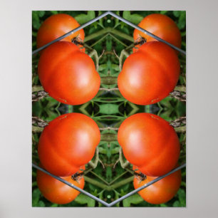 Red Ripe Garden Tomatoes On The Vine Abstract Poster