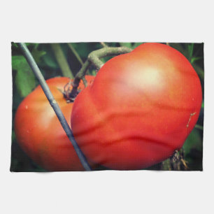 Red Ripe Garden Tomatoes On The Vine Tea Towel