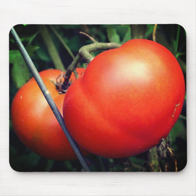 Red Ripe Tomatoes On The Vine Nature  Mouse Mat (Front)