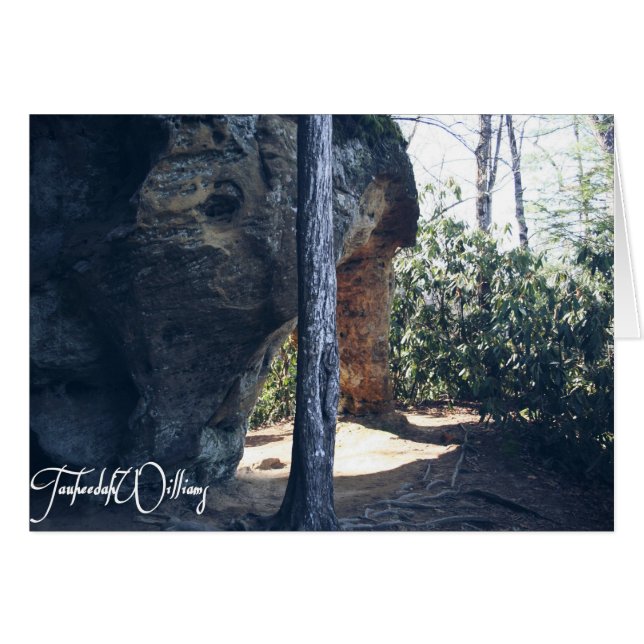 Red River Gorge, KY - Angel's Window LIGHT notes (Front Horizontal)