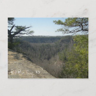 Red River Gorge, KY  postcard