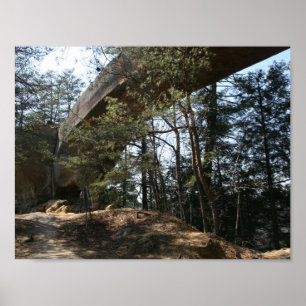 Red River Gorge, KY - Skybridge poster