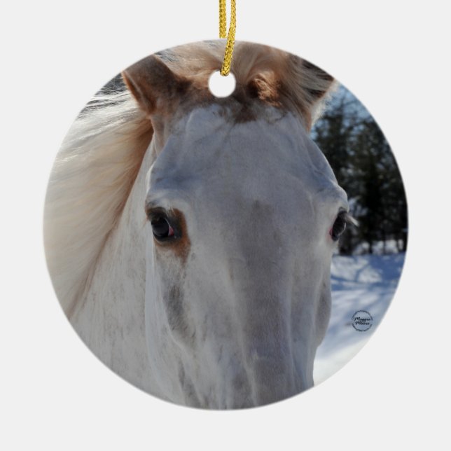 Red Roan Horse Eyes Ceramic Tree Decoration (Front)