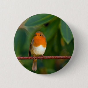 Red ROBIN 6 Cm Round Badge