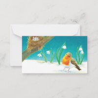 Red Robin Bird (Erithacus rubecula) & Snowdrops